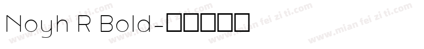 Noyh R Bold字体转换